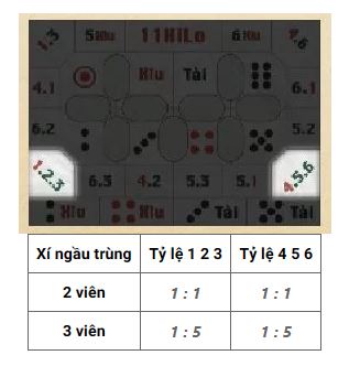 loại cược bộ 2 trên 3